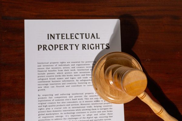What is intellectual property in business